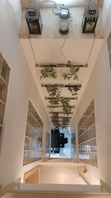 Luxury Complete Building In The Heart Of Sevilla Dış mekan fotoğraf