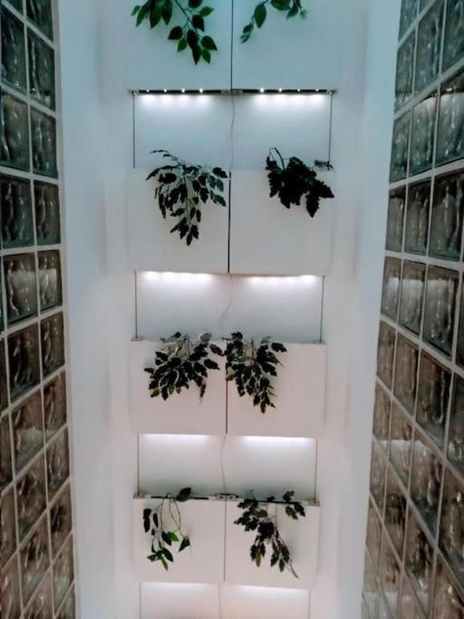 Luxury Complete Building In The Heart Of Sevilla Dış mekan fotoğraf